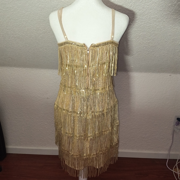 Gold Fringe Dress - Picture 2 of 3